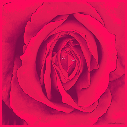 aukcja allegro bartosz kosowski diversitypl zoomtv