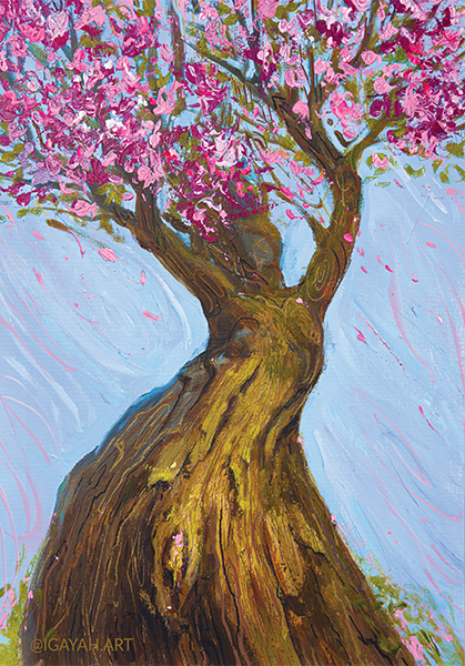 aukcja allegro iga-oliwia diversitypl zoom tv