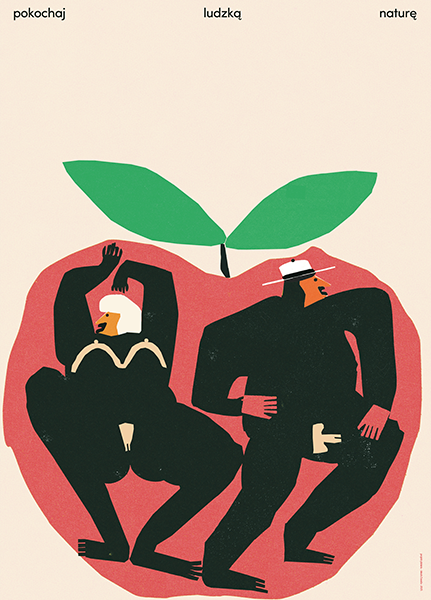 aukcja allegro jakub zasada zoom tv diversitypl